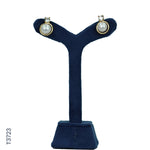 Load image into Gallery viewer, ALLOY GOLD PLATED PEARL HANGING WITH CZ (T3723)