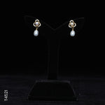 Load image into Gallery viewer, ALLOY GOLD PLATED PEARL HANGING WITH CZ (T4521)