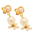 Load image into Gallery viewer, GOLD PEARL TOPS - GTWH508